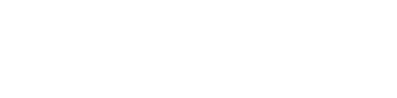 Zylo Company